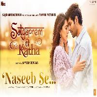 Naseeb Se (SatyaPrem Ki Katha) Kartik Aaryan Kiara Advani New Hindi Song 2023 By Vishal Mishra,Payal Dev Poster